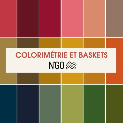 Colorimétrie : comment choisir la Couleur de vos Baskets ?